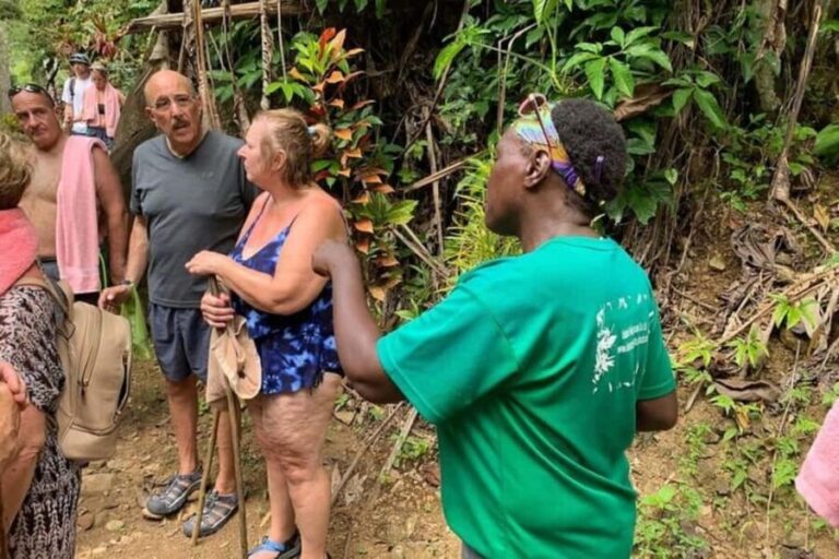 Saint Lucia: Soufriere Volcano Experience - Sulphur Springs and the Volcano Experience
