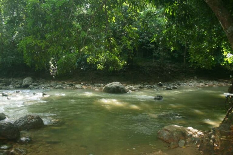 Samaná: El Limón Waterfall Horseback Riding Tour - Who Will Love This Tour?
