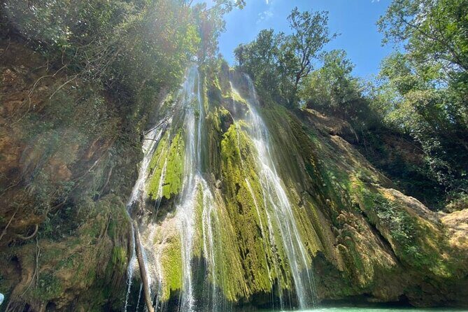 Samana Full Day Waterfall, Safari and Beach - Transportation and Group Size: Practical Tips