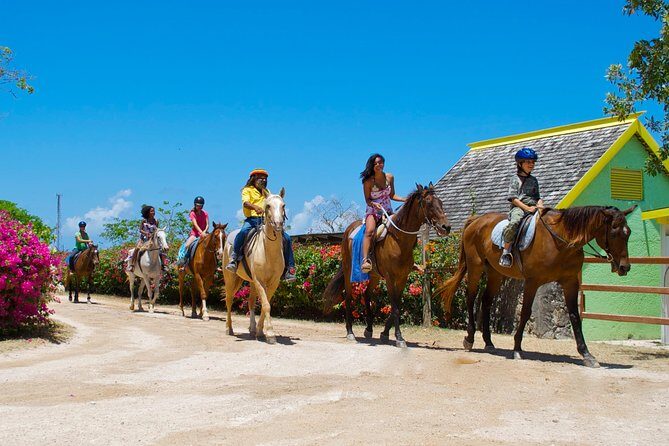 Sand n Saddle Horseback Ride & Swim Tour from Falmouth - What Our Reviewers Say