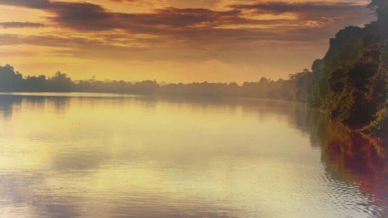 Sandakan: 2 Days 1 Night Bilit, Kinabatangan River Wildlife - What Does the Price Cover, and Is It Worth It?