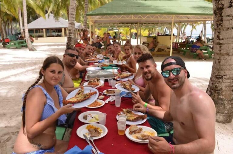 Saona Island Adventure from Punta Cana - Transportation and Logistics