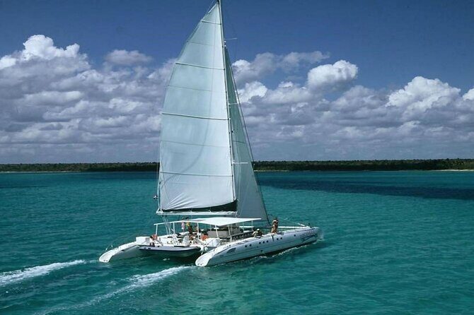 Saona Island Adventure From Punta Cana With Lunch and Transportation - What Travelers Are Saying