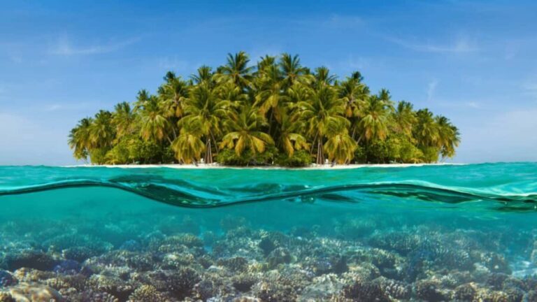 Saona Island: Hidden Beach & Natural Pool - Transportation: Comfortable and Hassle-Free