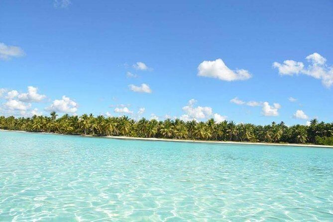 Saona Island Private +8 People Platinum Transfer - The Value of This Experience
