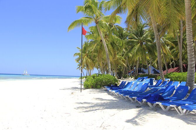 Saona Island Private Boat Tour with Lunch and Beverages - Deep Dive into the Itinerary