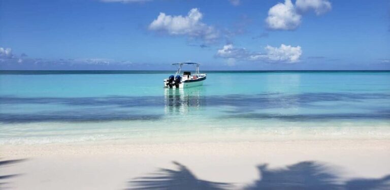 Saona Island Tour from Santo Domingo with Lunch - Detailed Breakdown of the Itinerary