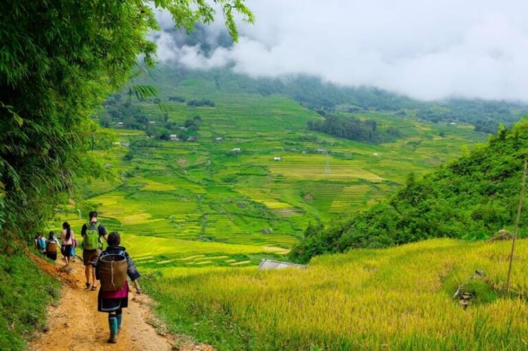 Sapa beautiful rice field, village - Easy walking kid,senior - The Itinerary in Detail: What Makes This Tour Stand Out