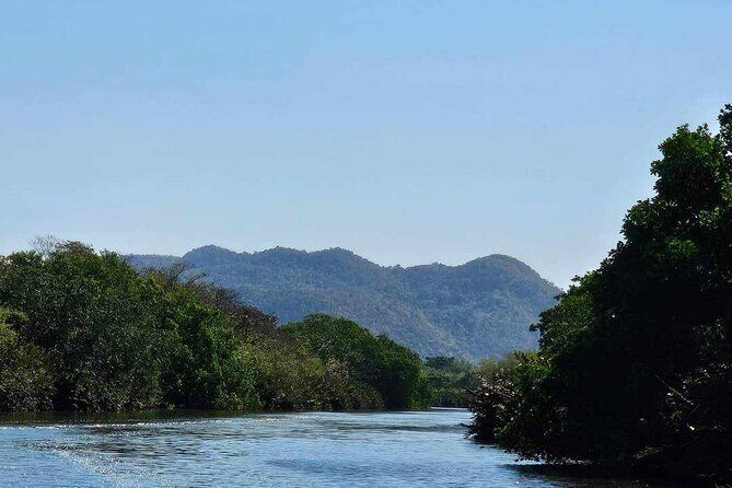 Scenic & Historical Nature Boat Safari Up the Negril River - Why This Tour Is a Great Choice