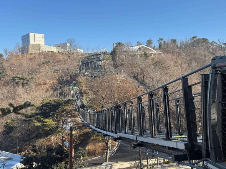 Seoul: Closest DMZ Observatory with North Korea View (1.4km) - A Deep Dive into the Experience