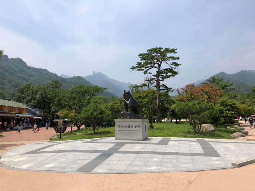 Seoul: Mt.Seorak(+CableCar Option)+Sokcho Fish Market&Beach - The Itinerary Breakdown: What Makes Each Stop Special