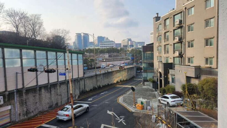 Seoul: Services of a Local for a Day (Paperwork/Tour/Fun) - Who Is This Tour Best For?