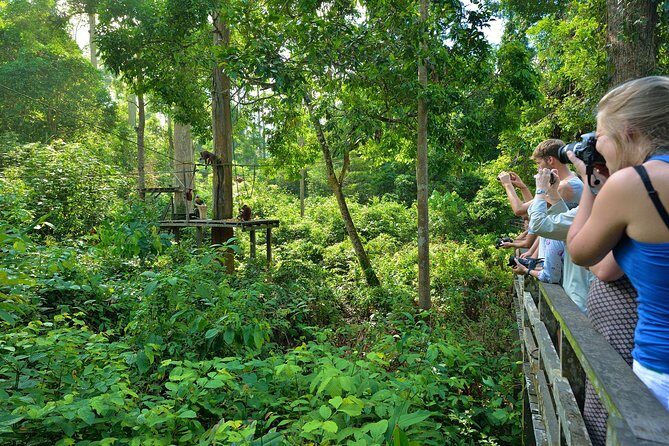 Sepilok Orang Utan & Bornean Sun Bear Centre with Sandakan City Tour with Lunch - The Bornean Sun Bear Conservation Centre