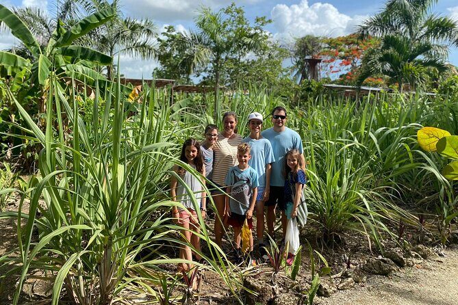 Shared Half-Day Tour in Punta Cana with Local Guide - A Deep Dive into the Punta Cana Half-Day Tour