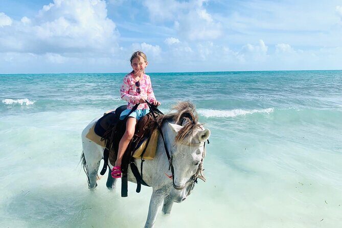 Shared Horseback Riding in Turks and Caicos - Authentic Experiences Based on Reviews