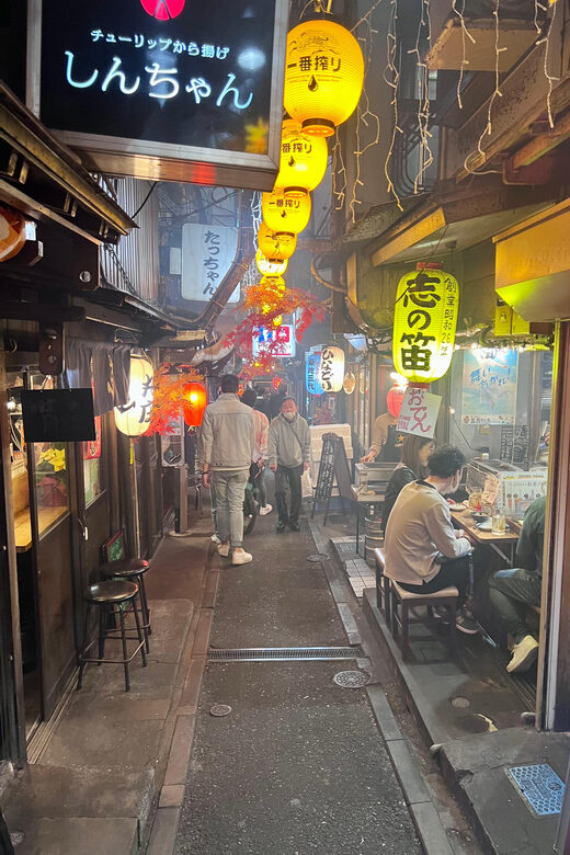 Shinjuku Kabukicho & Golden Gai Night Walking Tour - Why This Tour Offers Good Value