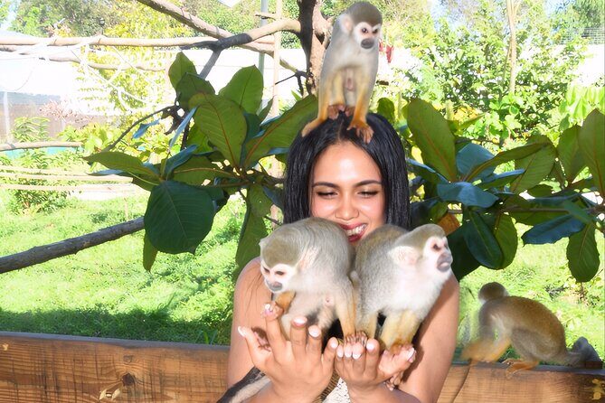Shore Excursion Monkey Encounter and Puerto Plata City Tour - An In-Depth Look at the Puerto Plata Shore Excursion