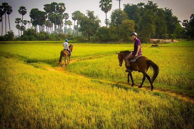 Siem Reap Happy Horse Riding - What to Expect During Your Ride