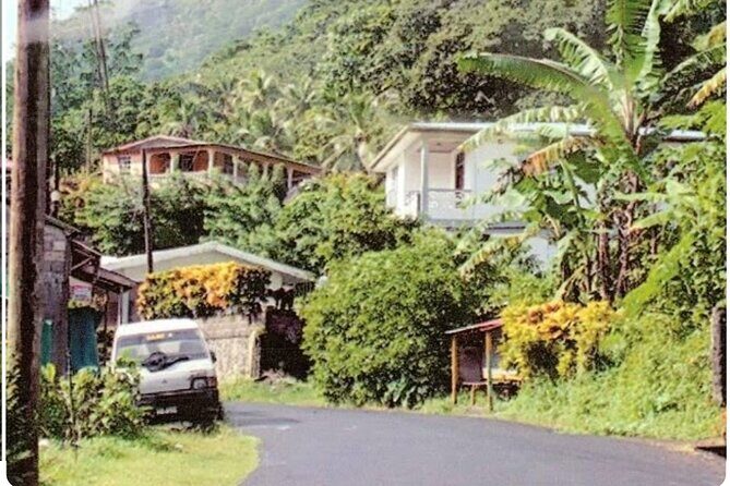 Sightseeing Tour in Ocho Rios - Authentic Feedback & Real Experiences