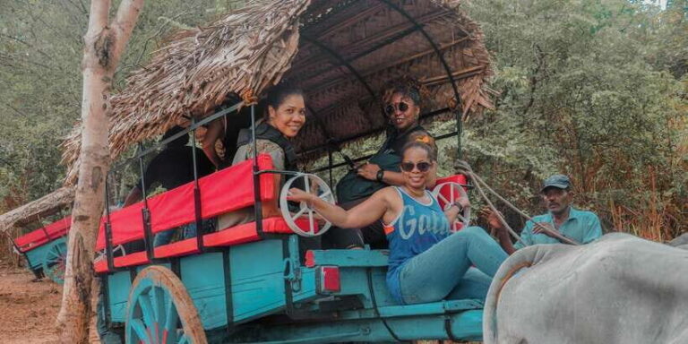 Sigiriya Village Tour and Lunch - What is the Sigiriya Village Tour?