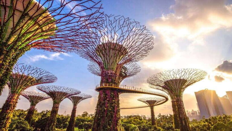 Singapore: City Tour & Jurassic World at Gardens by the Bay - Practical Tips for Travelers
