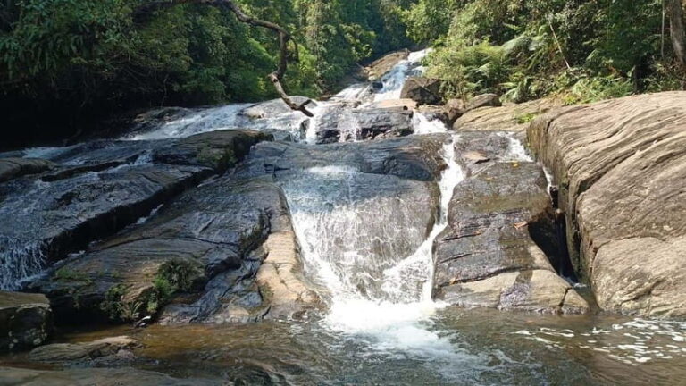 Sinharaja Rainforest: Tour with 5 Waterfalls Trek - Why This Tour Offers Solid Value