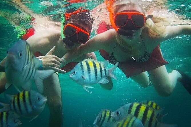 Snorkeling and Shopping in Montego Bay with Hotel pickup - Weighing the Value