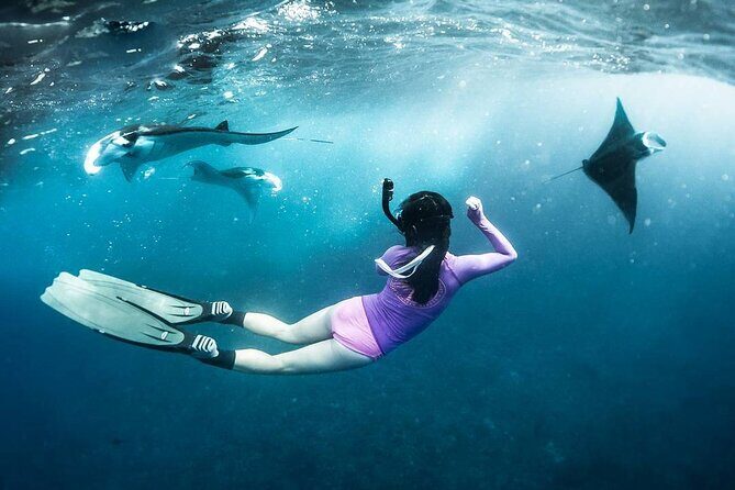 Snorkeling Manta Ray in Nusa Lembongan - Some Caveats to Consider