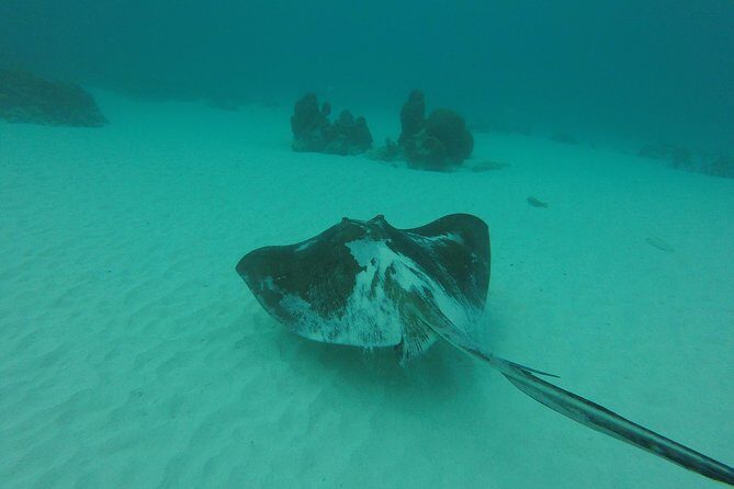 Snorkeling Tour (with Light Refreshments) - The Itinerary: What You Can Expect