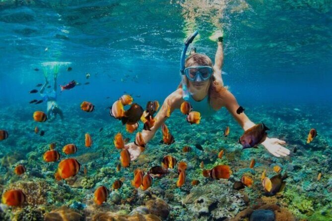 Snorkeling with Margaritaville and shops on Hipstrip activity - The Value of This Tour