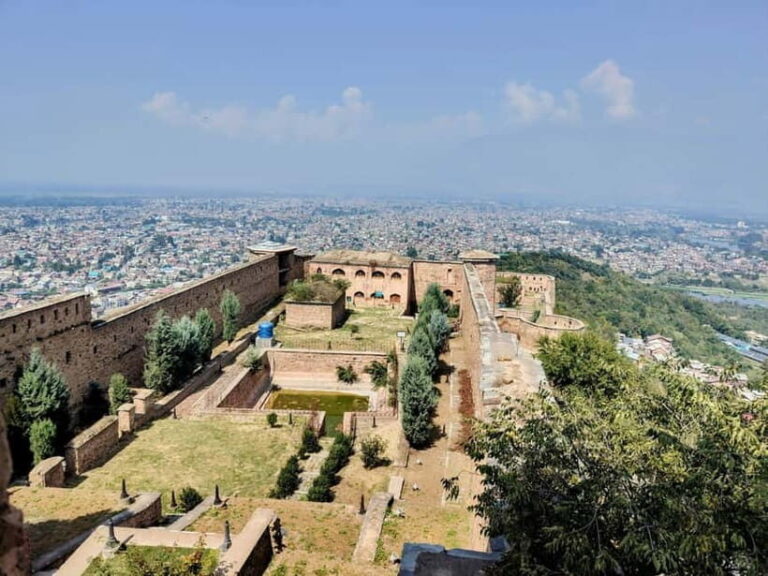 Srinagar: Private Old City and Mughal Gardens Guided Tour - Who Will Love This Tour?