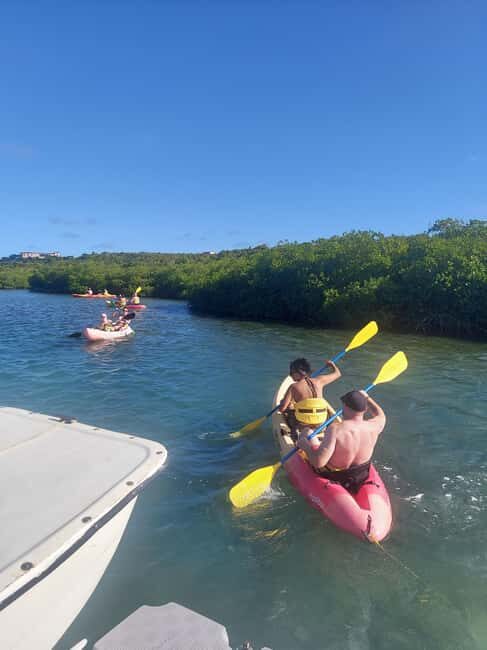St. John's, Antigua Kayak, Snorkeling, & Beach Bird Island - Why This Tour Offers Great Value