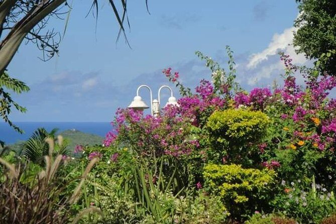 St Lucia Northern Island Tour - Itinerary Breakdown