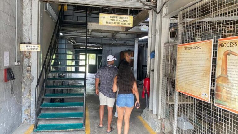 St. Lucia: Rum Distillery and Chocolate Making Experience - Authentic and Enthusiastic Guides