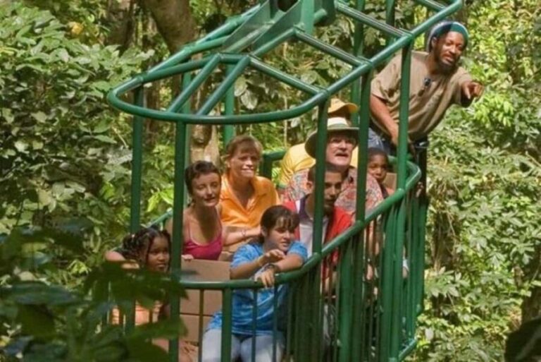 St. Lucia: Zip Line, Aerial Tram, and Hiking Tour - The Practicalities and Value