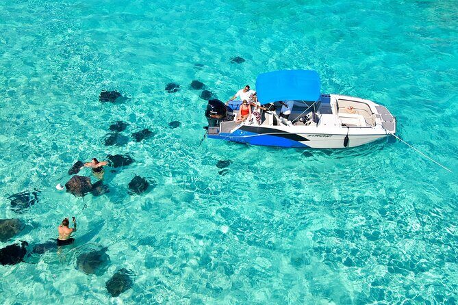 Sunrise at Stingray City, Private Tour - Authenticity and Reviews