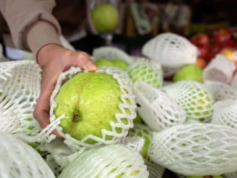 Taipei: Taiwan Traditional Breakfast & Market & Tea Tasting - What to Expect from the Tour