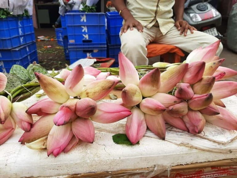 Take in the Beauty of an Early Morning with Fresh Flowers - Who Is This Tour Best For?