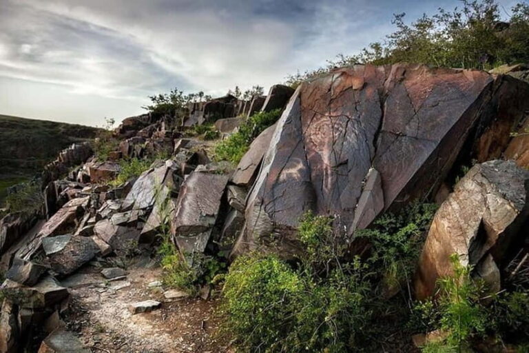Tanbaly Gorge: Ancient Petroglyphs UNESCO Site Day Tour - A Complete Breakdown of the Itinerary