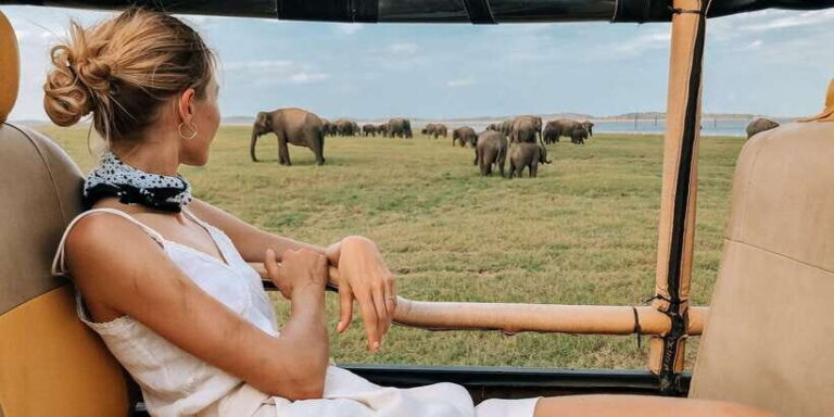 Tangalle/Hiriketiya: Udawalawa Safari & Elephant Transit Hom - The Value of the Experience