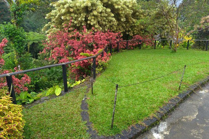 The Montreal Garden Tour with Fraser's Taxi and Tours - Final Thoughts on Value and Experience
