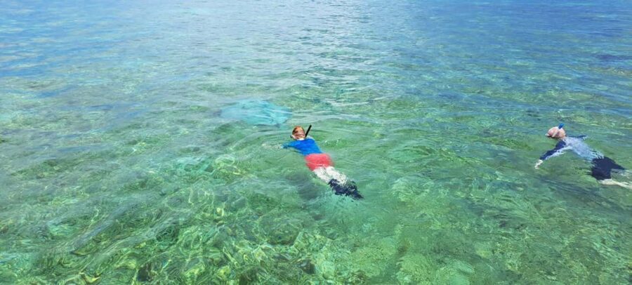Tobago: Coral Reef Boat Tour with BBQ and Transfer - Analyzing the Value