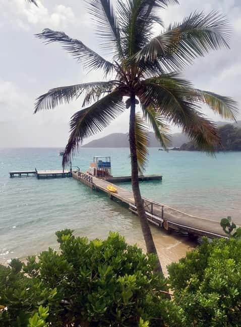 Tobago: Little Tobago Bird Sanctuary Visit and Boat Tour - Little Tobago Bird Sanctuary: An Oriole of a Stop