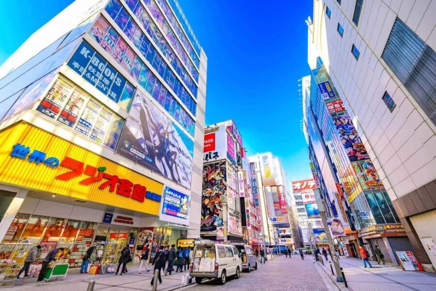 Tokyo Akihabara Anime walking tour & Maid Cafe option - Who Will Love This Tour?