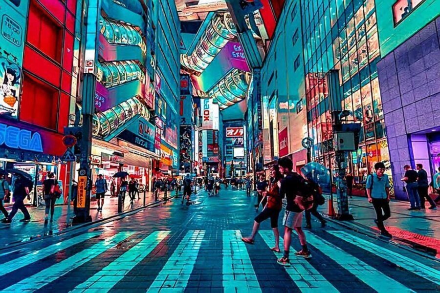 Tokyo: City Tour Tokyo With Driver - In-Depth Look at the Itinerary