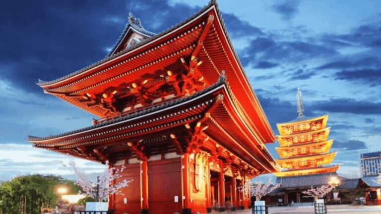 Tokyo Full day Private Customized Tour with English Driver - What to Expect and Tips for the Tour