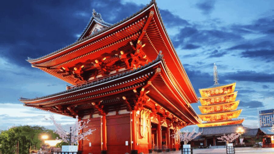 Tokyo Full day Private Customized Tour with English Driver - What to Expect and Tips for the Tour