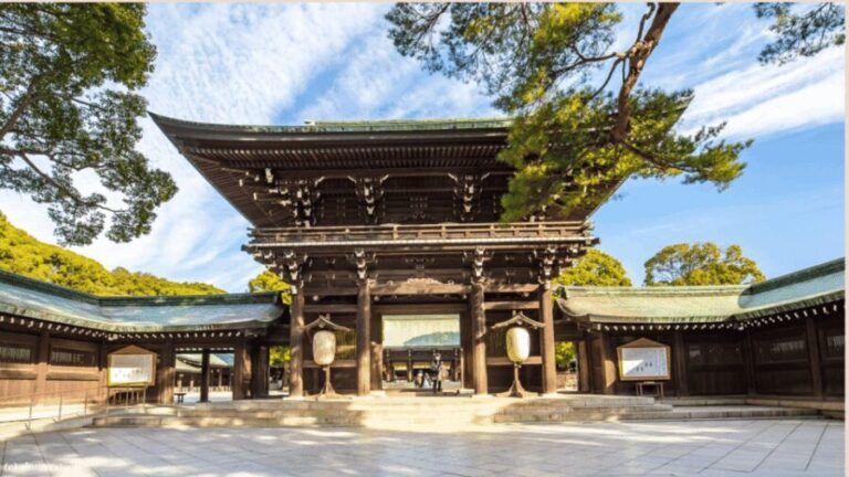 Tokyo full day private tour with Guide - What to Expect from the Tour