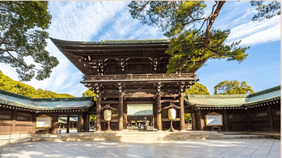 Tokyo full day private tour with Guide - What to Expect from the Tour