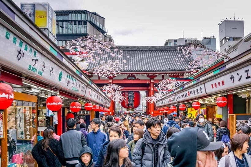 Tokyo: Half-Day Morning Small Group Tour - What to Expect